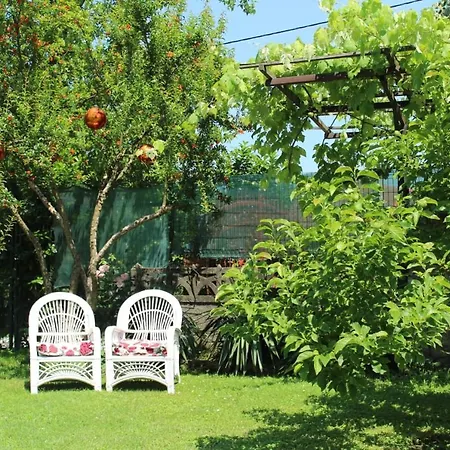 Kartepe *
