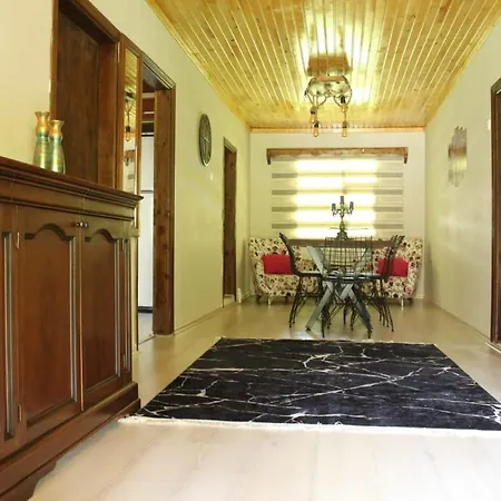 فيلة Kartepe